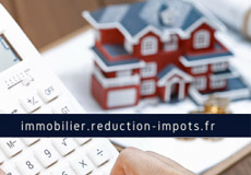 programmes défiscalisation immobilière